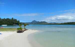 De bonnes vacances à toutes et tous !